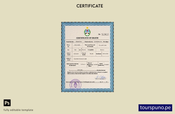 listo para imprimir plantilla PSD de certificado de defunción de Argentina